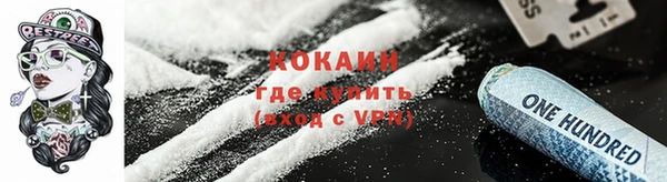 гидра Щучье