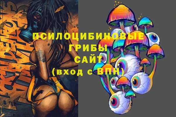 а пвп мука Нея
