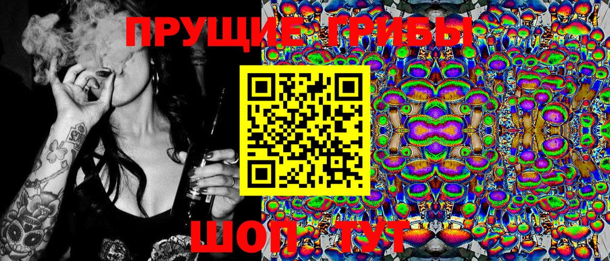 Галлюциногенные грибы Psilocybe  Вход с VPN  Ялуторовск 